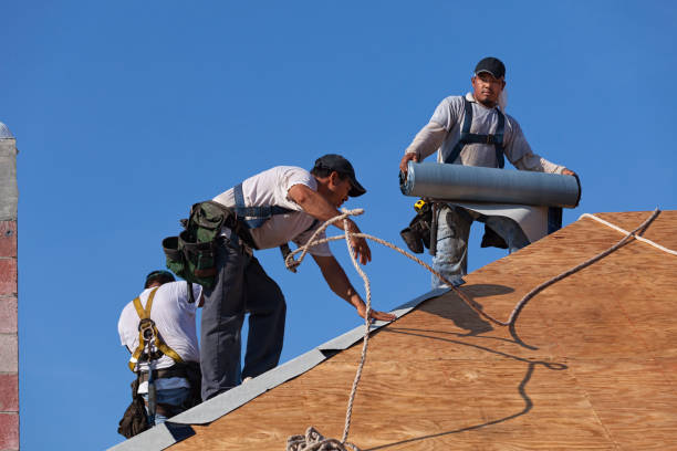 Best Local Roofing Companies  in Hayfork, CA