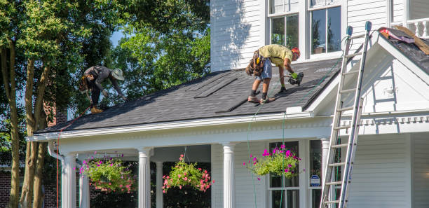 Best Storm Damage Roof Repair  in Hayfork, CA